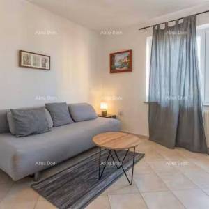 Izvrsna prilika! Prodaja - atraktivna dvojna kuća s bazenom i uređenom okućnicom, Banjole!