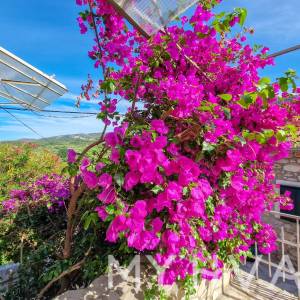 Kamena kuća s unutarnjim bazenom