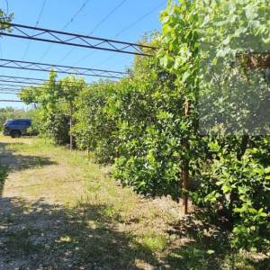 Kaštel Lukšić kuća 219 m2 + parcela 2993 m2 intimna lokacija - top 