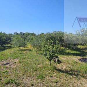 Kaštel Lukšić kuća 219 m2 + parcela 2993 m2 intimna lokacija - top 