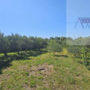 Kaštel Lukšić kuća 219 m2 + parcela 2993 m2 intimna lokacija - top 