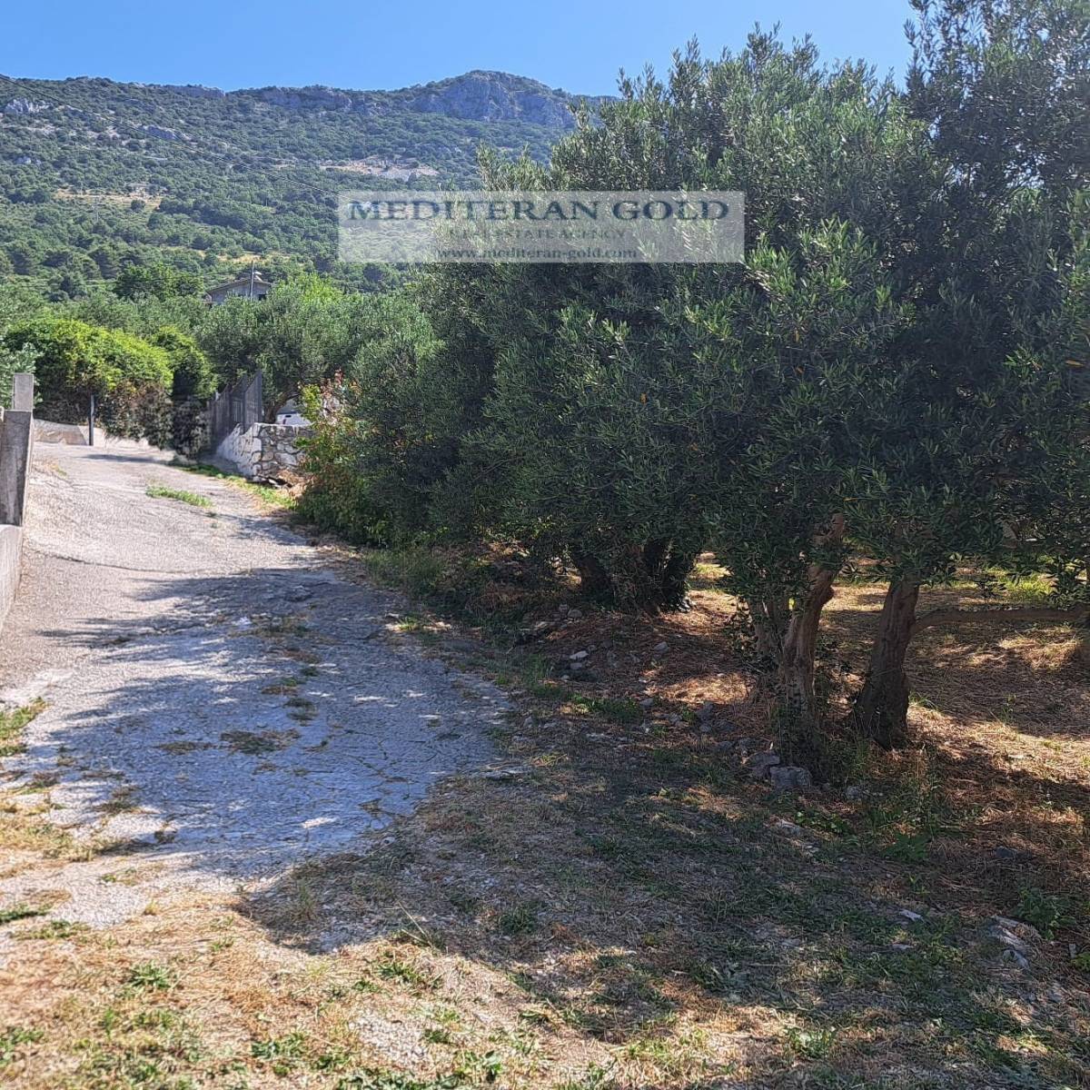 Kaštel Stari, prodaje se atraktivno poljoprivredno zemljište, pogled