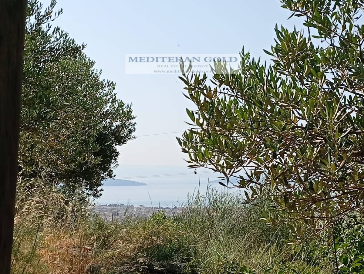 Kaštel Stari, prodaje se atraktivno poljoprivredno zemljište, pogled