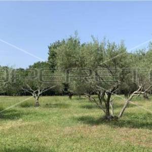 Kršete, Kršete, 22.586,00 m2, 490.000,00 EUR