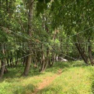 Kršete, Kršete, 22.586,00 m2, 490.000,00 EUR