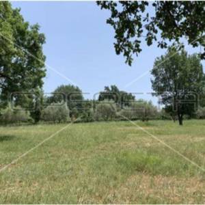 Kršete, Kršete, 22.586,00 m2, 490.000,00 EUR