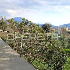 Kuća s potencijalom, Katuni, Šestanovac