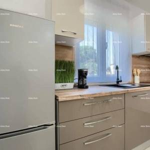 Kuća sa 3 Stana i velikom vrtom u Ližnjanu