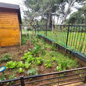 KUĆA SA TRI  APARTMANA,  MEDULIN