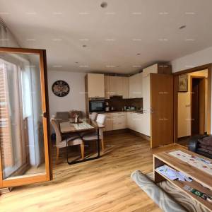 KUĆA SA TRI  APARTMANA,  MEDULIN