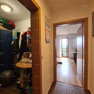 KUĆA SA TRI  APARTMANA,  MEDULIN