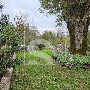 Kuća u srcu prirode, okružena zelenilom