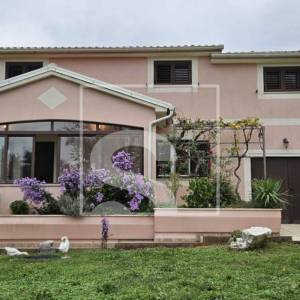 Kuća u srcu prirode, okružena zelenilom