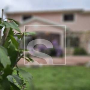 Kuća u srcu prirode, okružena zelenilom