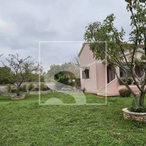 Kuća u srcu prirode, okružena zelenilom