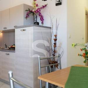 Kuća Vodnjan - 8 spavaćih soba, bazen, pogled na more