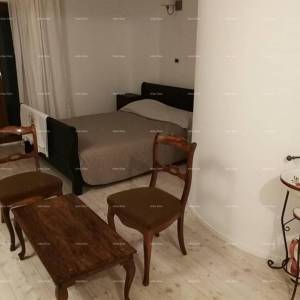 Labin okolica, Kamena kuća s bazenom i velikom okućnicom