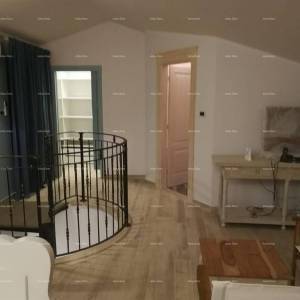 Labin okolica, Kamena kuća s bazenom i velikom okućnicom