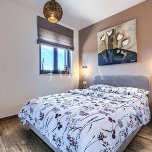 Labin, okolica, moderna Villa s bazenom i velikom okućnicom