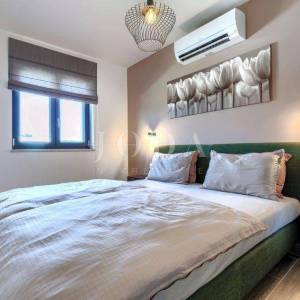 Labin, okolica, moderna Villa s bazenom i velikom okućnicom