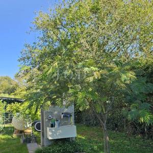 Lijepa obiteljska kuća sa bazenom,UMAG okolica