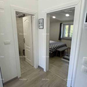 Moderna, rustikalna kamena vila s bazenom, Poreč!