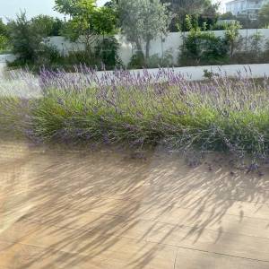 Moderna vila u Istri s pogledom na more, krovnom terasom i uređenim vrtom – 800 m od plaže