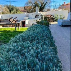 Moderna vila u Istri s pogledom na more, krovnom terasom i uređenim vrtom – 800 m od plaže