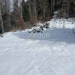 Moderno utočište u srcu Gorskog kotara - Brestova Draga