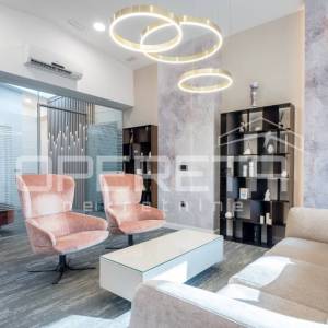 Najam, Ured, Žitnjak, Slavonska avenija, 1090m2