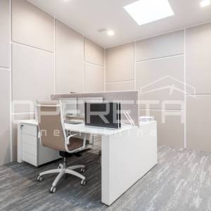 Najam, Ured, Žitnjak, Slavonska avenija, 1090m2