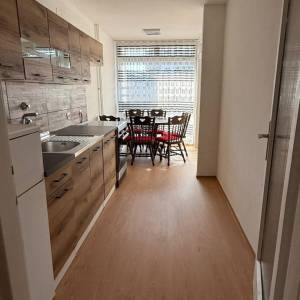 Novi Zagreb-Savski gaj, novoadaptiran 3S stan s balkonom, 4.kat/lift