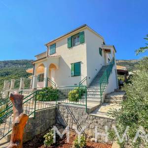 Obiteljska kuća sa bazenom u Vrisniku