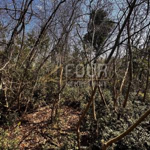 Opatija, Ičići, poljoprivredno zemljište, 2.473m2