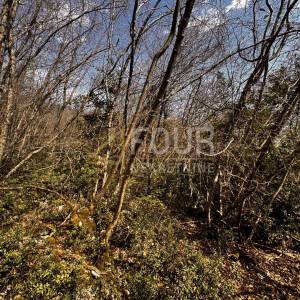 Opatija, Ičići, poljoprivredno zemljište, 2.473m2