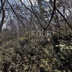 Opatija, Ičići, poljoprivredno zemljište, 2.473m2