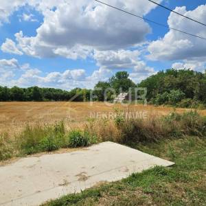 Osijek, Branjina, samostojeća kuća, 540m2