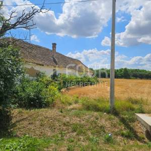 Osijek, Branjina, samostojeća kuća, 540m2