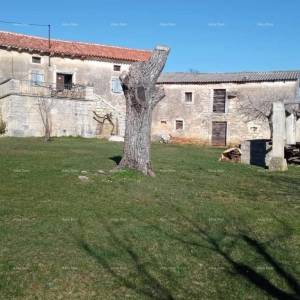 Pazin, Istra - dvije stare kamene kuće s velikim zemljištem