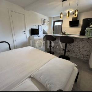 Pazin, okolica, stan u kući sa studio apartmanom