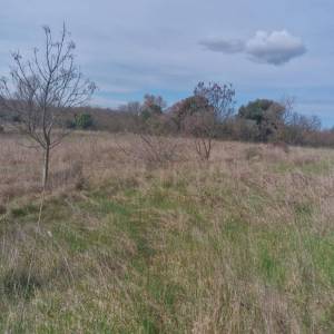 Peruški, Zemljište, 915.800,00 EUR