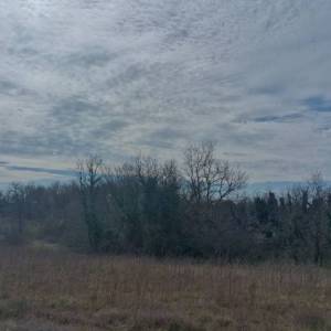 Peruški, Zemljište, 915.800,00 EUR