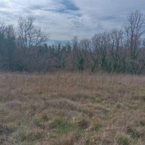 Peruški, Zemljište, 915.800,00 EUR