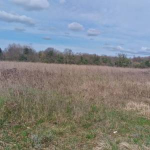 Peruški, Zemljište, 915.800,00 EUR