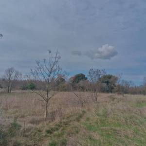 Peruški, Zemljište, 915.800,00 EUR