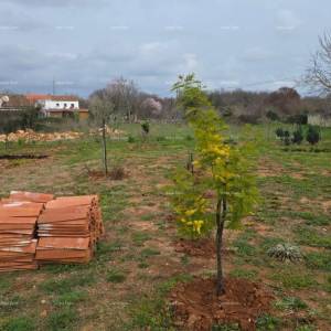 Pogled na more!! Prodaja zemljišta s  građevinskom dozvolom i projektom, okolica Vodnjana!