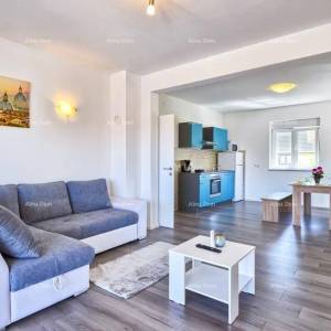 Prodaja dvoetažnog stana s velikom vrtom i garažom, Ližnjan!