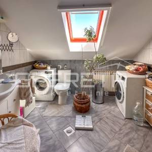 Obiteljsko imanje s kućom i voćnjakom u mirnom okruženju Brežana Lekeničkih 