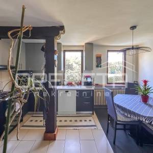 Obiteljsko imanje s kućom i voćnjakom u mirnom okruženju Brežana Lekeničkih 