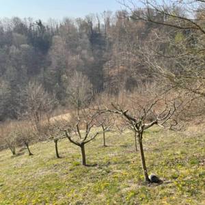 Prodaja, Kuća, Gornja Voća, Gornja Voća, Samostojeća, 78m2